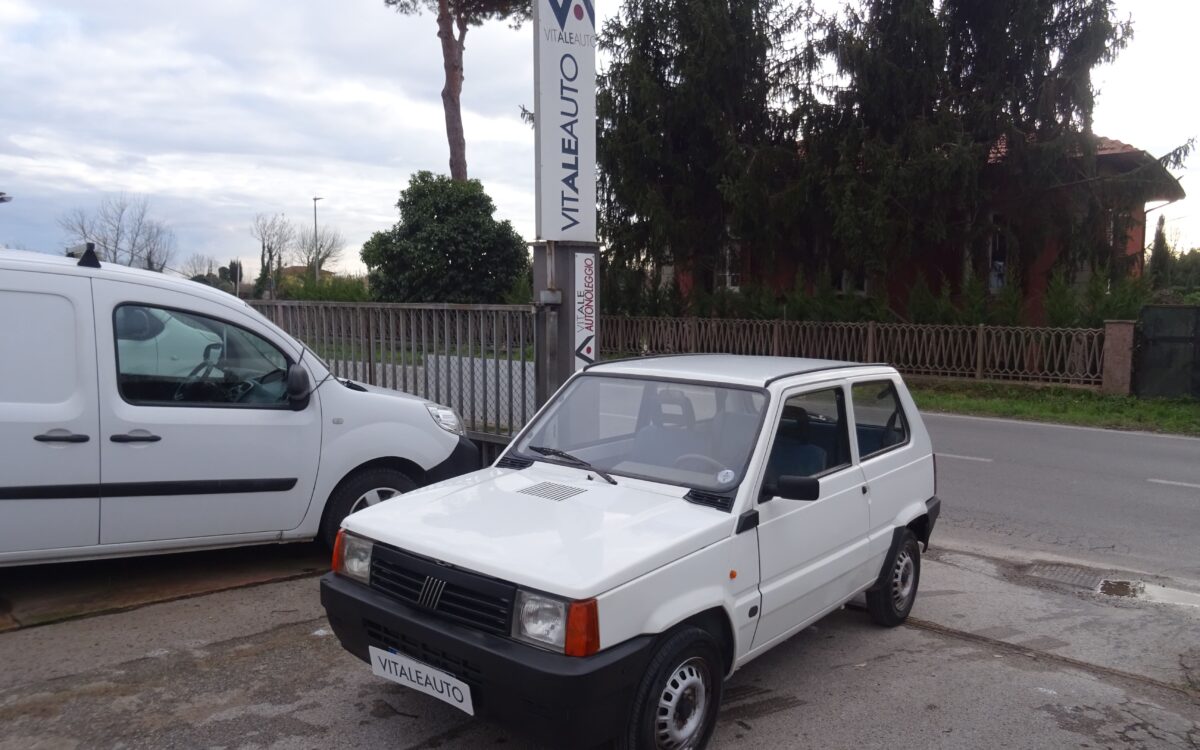 Fiat Panda 1100 i.e. cat Young